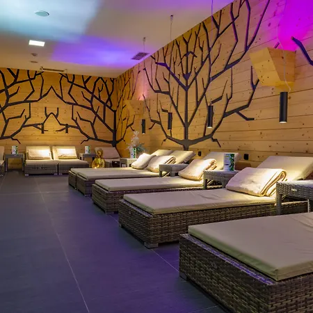 Hotel Aquacity Mountain View Poprad