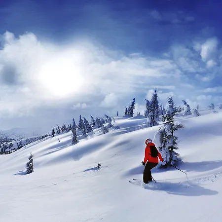 Hotel Aquacity Mountain View 4*